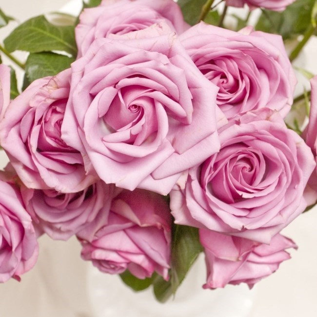 Obituary of Elizabeth Elder