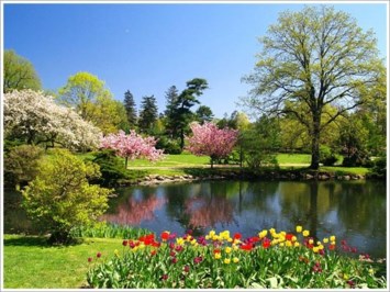 Obituary of Donna Katherine Meyers