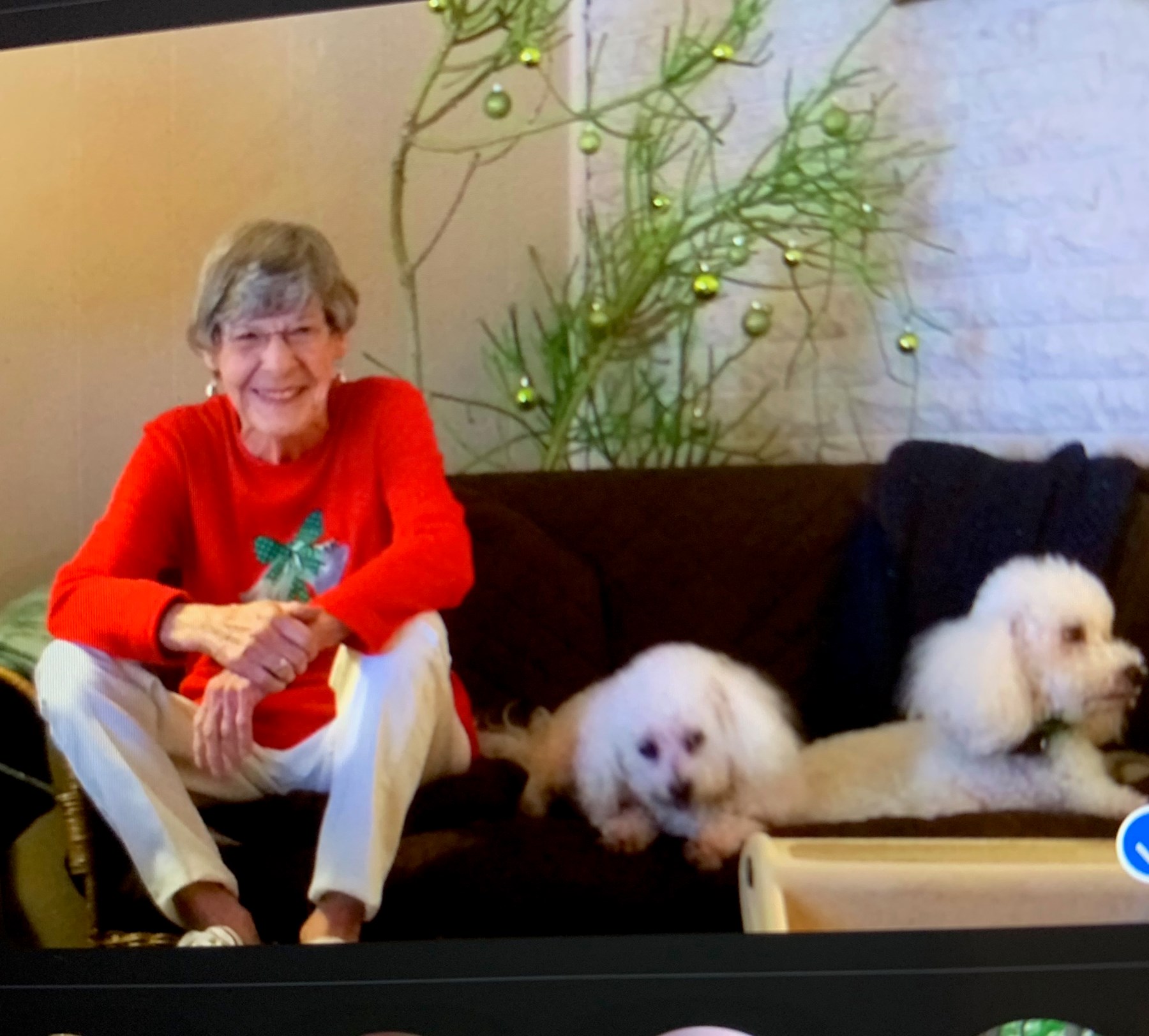 Obituary of Sylvia Ann Pavia