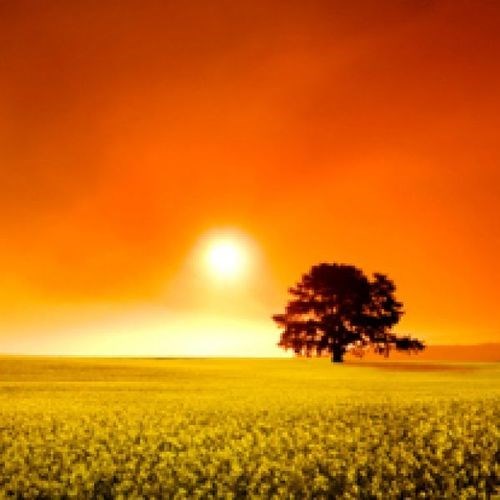 Obituary of David Robert Rubin