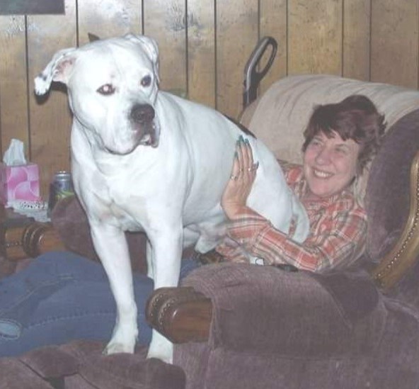 Obituary of Iris Delorise Camplain