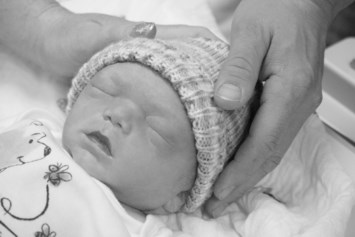 Obituary of Pierre-Hugo Roy