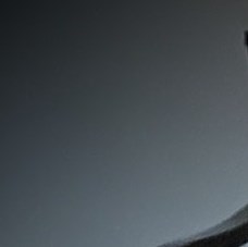 Patricia Vannelli Obituary Pittsburgh, PA