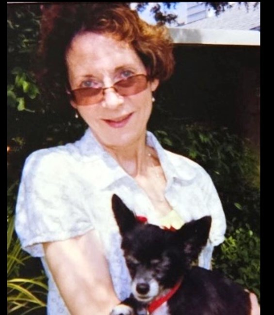 Obituary of Michelle B Meguerditchian