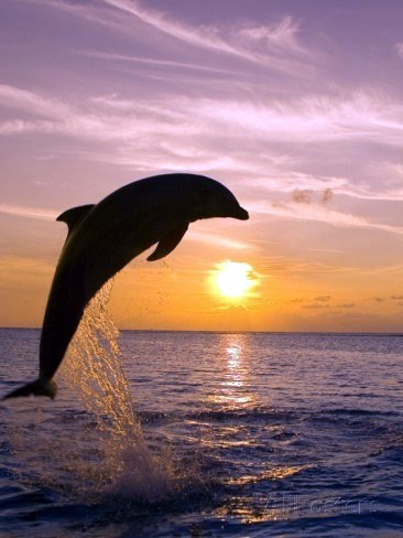 Obituary of David William Oswald