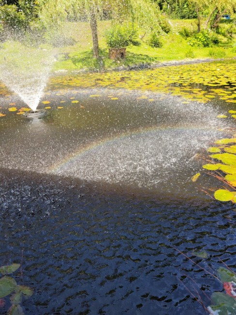 Obituary of Robert Dale Beach