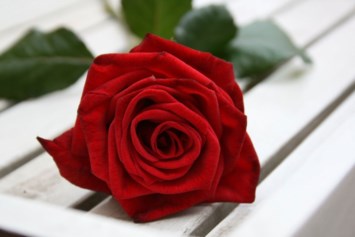 Obituary of Gilda Edelman