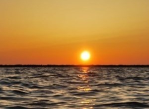 Obituario de Veronica Febus Rivera