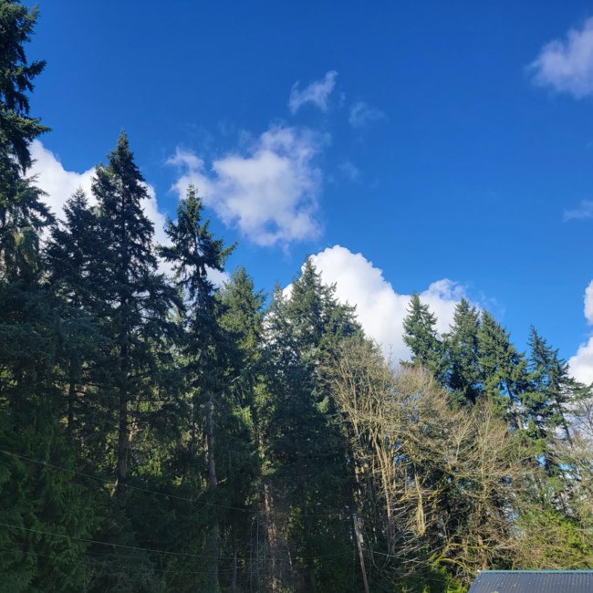 Obituary of Stephen Frank Cottnair