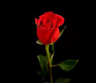 Obituary of Ruth Martha Henshaw