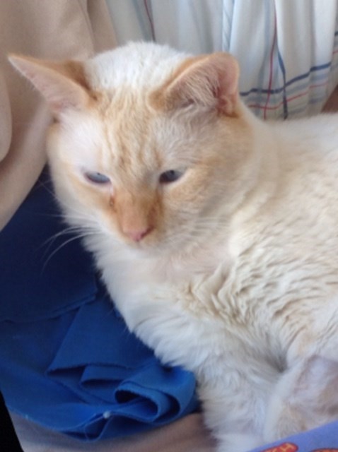 Obituary of Arthur Dennis Petrick