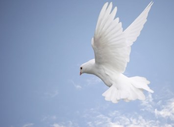 Obituary of Barbara Jeanne English