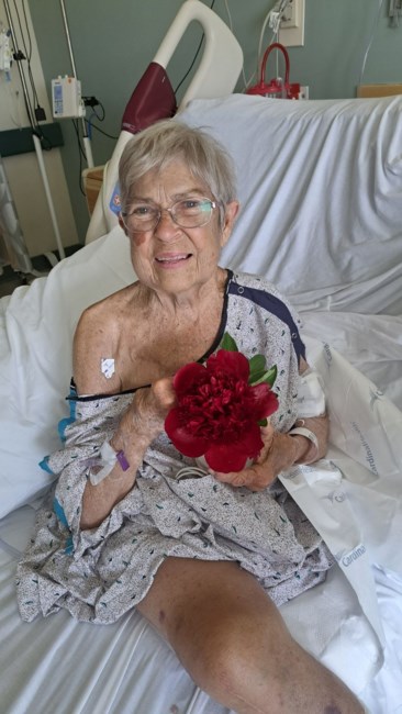 Obituary of Darla Jean Craner