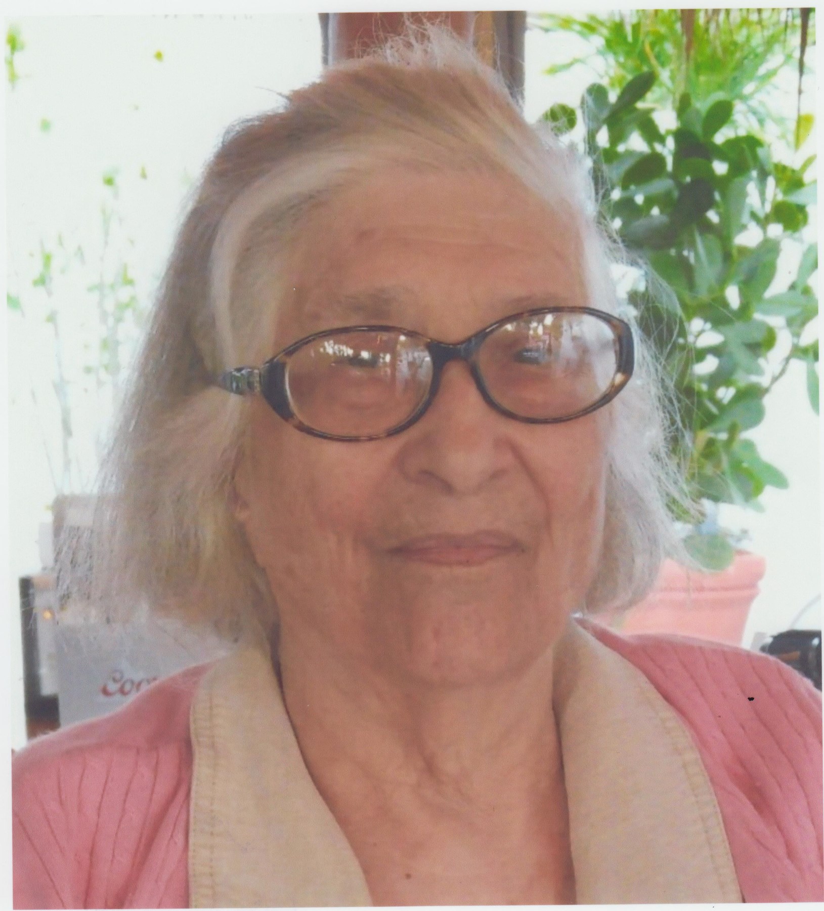Obituary of Angelina Talerico