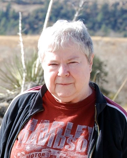 Obituary of Brenda Jeanne Carey