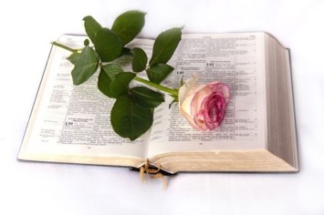 Obituary of Trenia Fae  Britton Feldman