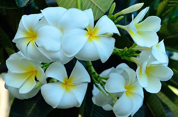 Obituary of Thelma Lois Squires