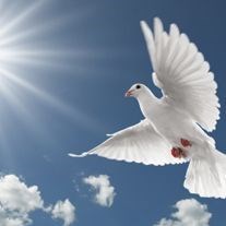 Obituary of Jacqueline Elizabeth Leal