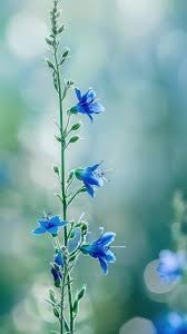 Obituario de Norman Scott Finney