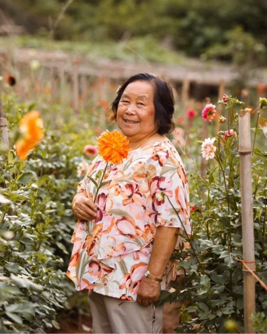 Obituary of Gnia Ly Thao