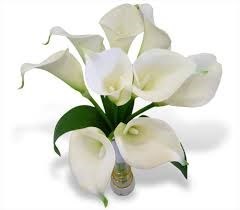 Obituary of Aaron Lemet Corley