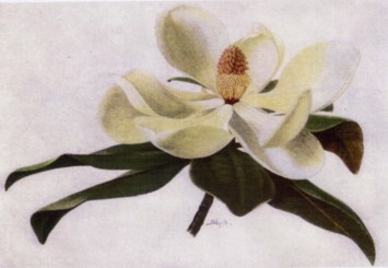 Obituary of Waymon D. Sewell