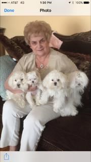 Obituary of Mary Ann Pastore