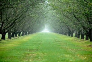 Obituary of Derek Hugh Fox