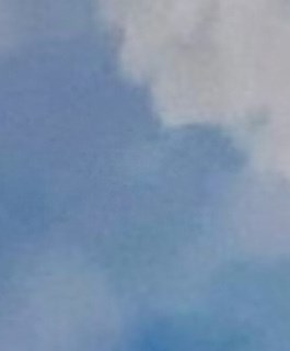 Share Obituary for Mark Dwyer Oak Lawn, IL