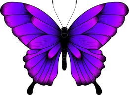 Obituary of Donna J Boyer