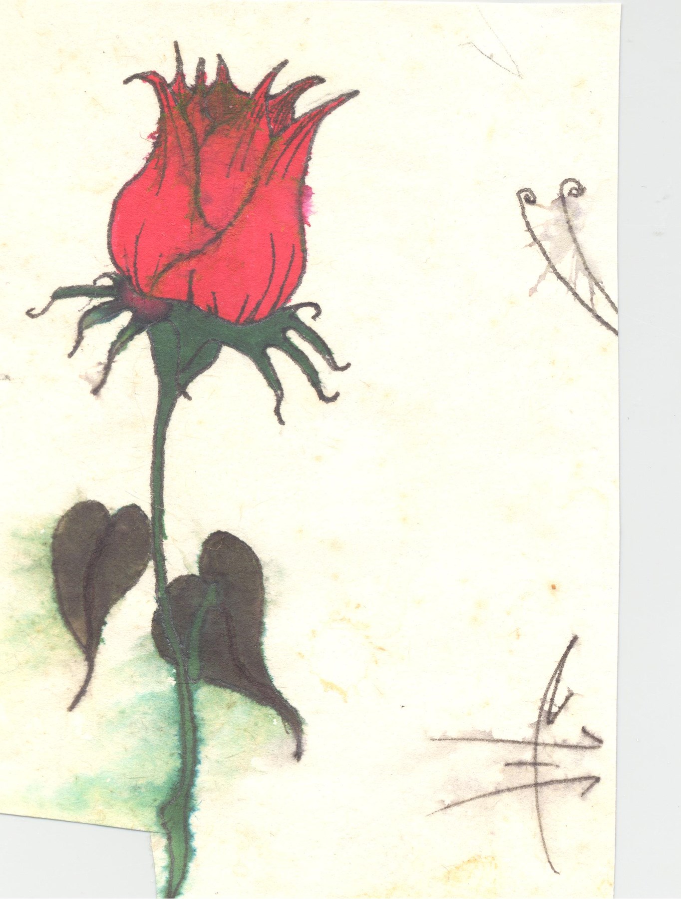 Obituario de Betty B. Liebert