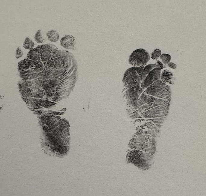 Obituary of Adley Ann Hallman