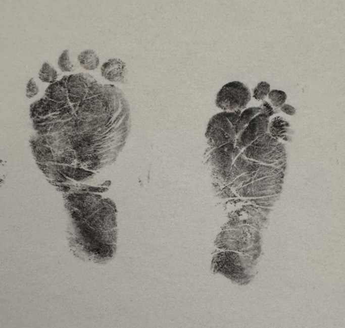 Avis de décès de Adley Ann Hallman