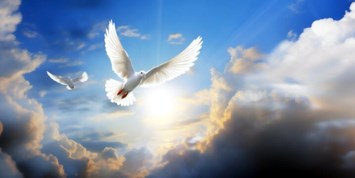 Obituary of Lucy Torres Escalante