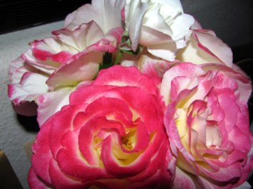 Obituary of Joanne Virginia Boyajian