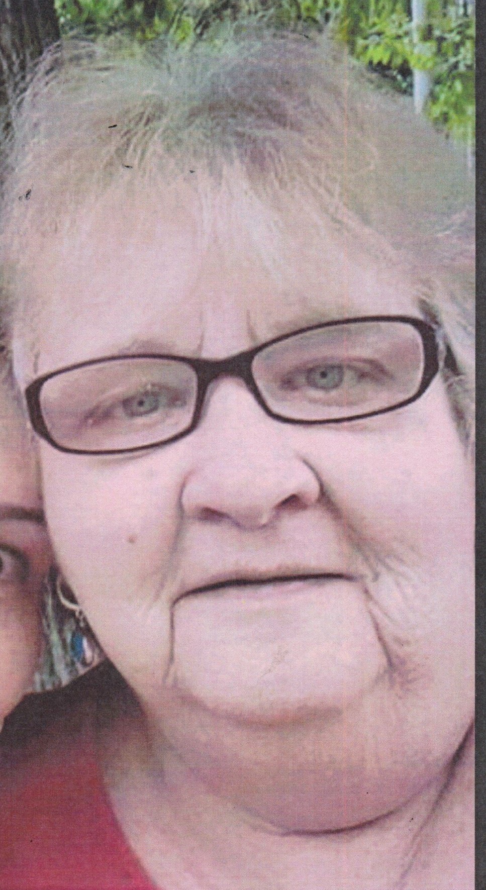 Obituary of Patricia Ann Frenzel