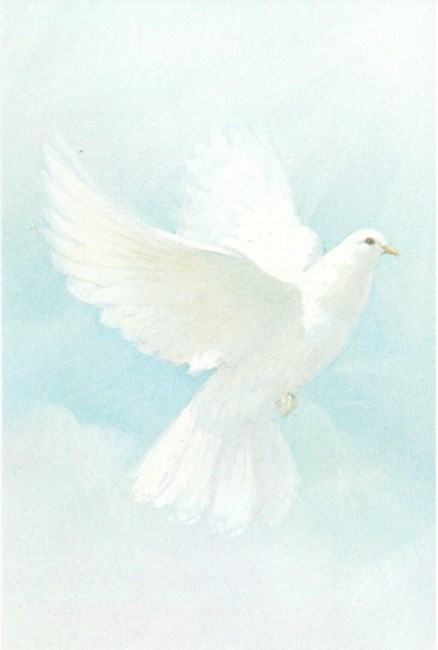 Obituary of Angelina Marie Longo