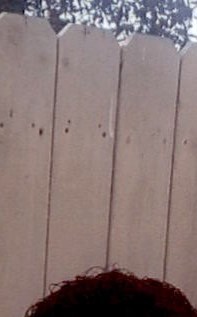 Gilbert Romo Obituary - Weslaco, TX