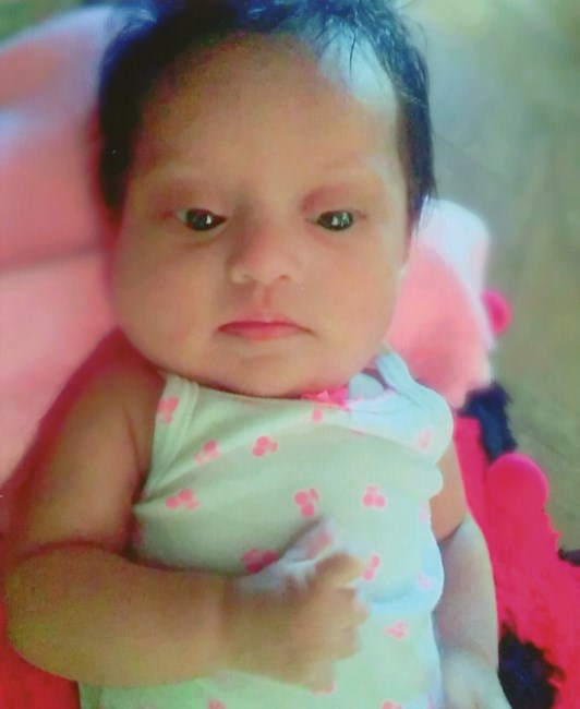 Obituary of Amy Sophia Hernandez