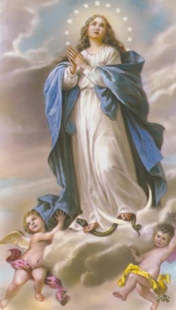 Obituary of Mavis Jackson