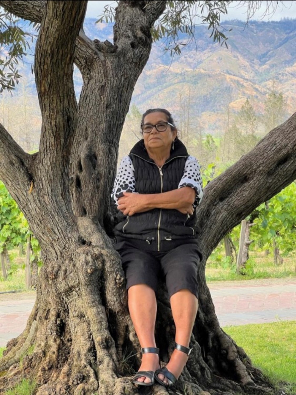 Avis de décès de Camerina Ascencio Ruiz