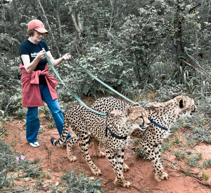 Obituary of Carol Rose Ernst