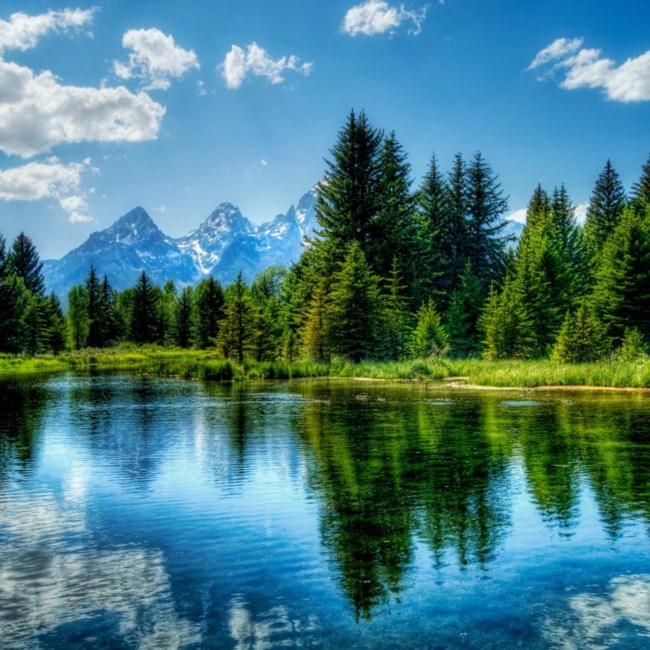 Obituary of Charles L. Stoner