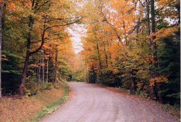 Obituary of Robert Bob George Barnes