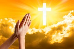 Obituary of Elvira Gomez Steinberger