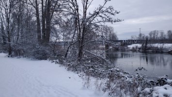 Obituary of Richard Phillip Rutter