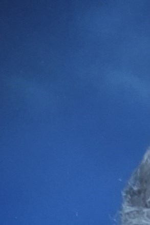 Janet Rison Obituary - Fort Wayne, IN