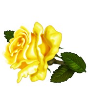 Obituary of Elizabeth Anna Beaudoin