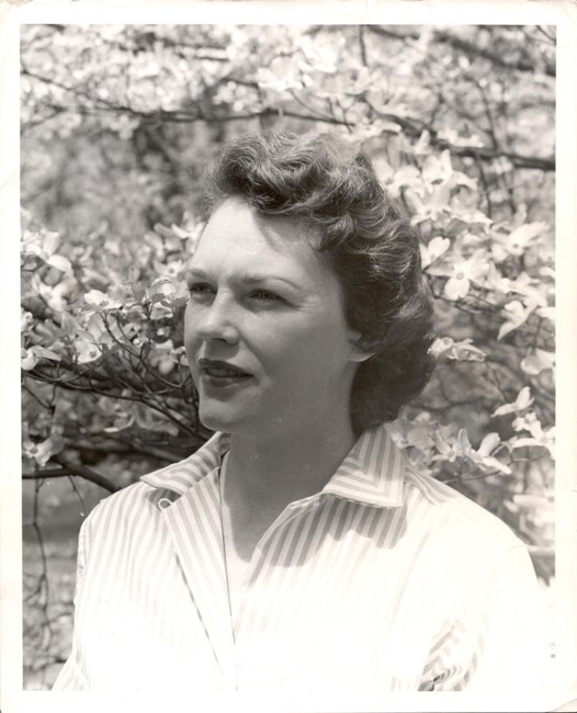 Obituary of Luana Halterman Brandon