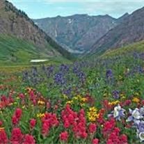 Obituary of Harold Pendleton Moss